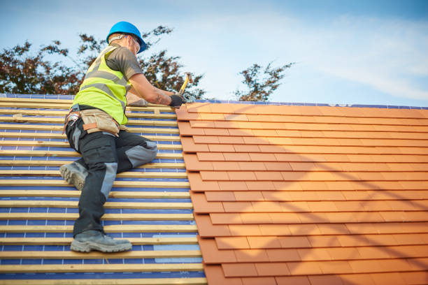 Best Roof Coating and Sealing  in Dillon, CO